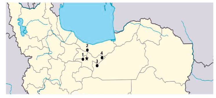 Isolation, Identification, and Characterization of the Native Yeast Strains from Homemade Cheese to Assess their Eliminating Impact on the Aflatoxin B1 and M1 of the Simulated Gastrointestinal Fluid.