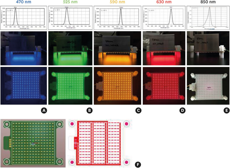 <i>In vitro</i> investigation of the antibacterial and anti-inflammatory effects of LED irradiation.