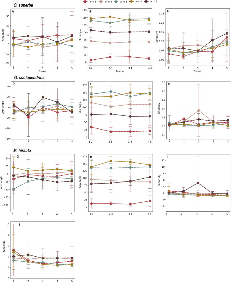 A methodological exploration to study 2D arm kinematics in Ophiuroidea (Echinodermata).