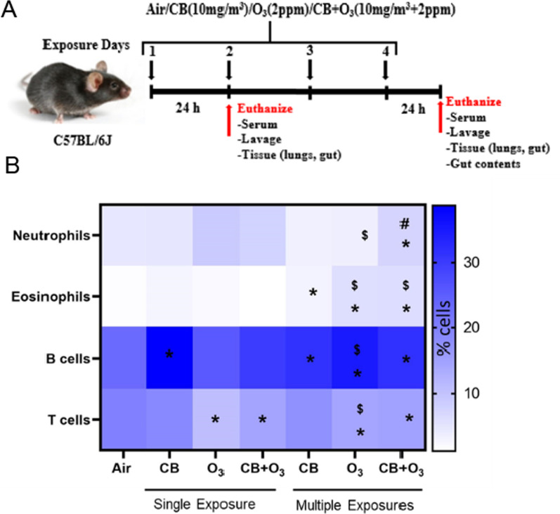 Lung-gut axis of microbiome alterations following co-exposure to ultrafine carbon black and ozone.