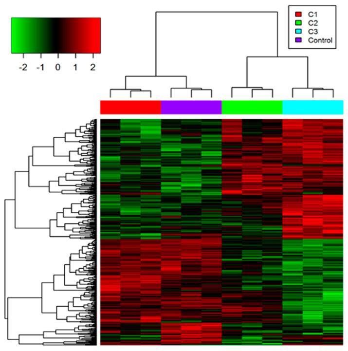 Oxidative Stress Induced Dysfunction of Protein Synthesis in 661W Mice Photoreceptor Cells.