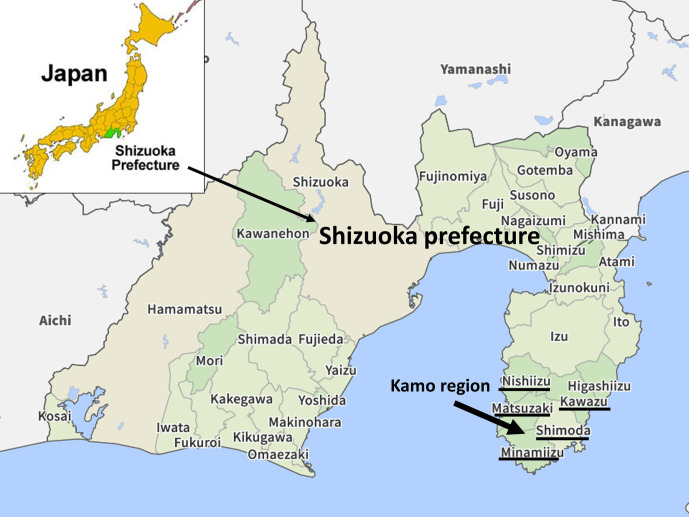 A study of factors associated with the prognosis of cardiac arrest patients in a depopulated area with a high elderly population transported by Shimoda Fire Department.