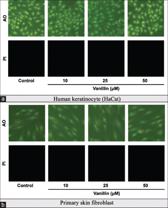 The radical scavenging activity of vanillin and its impact on the healing properties of wounds.