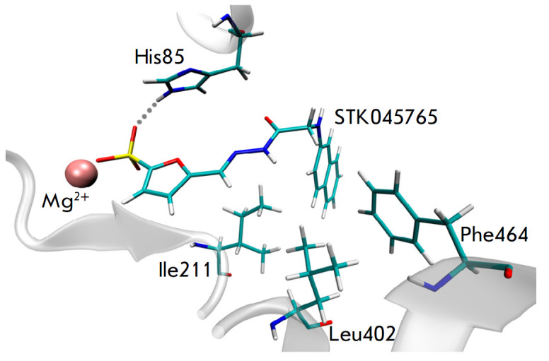 Search for Inhibitors of Mycobacterium tuberculosis Transketolase in a Series of Sulfo-Substituted Compounds.