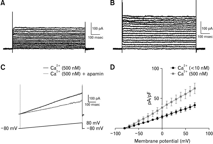 Protein Kinase CK2 Modulates the Calcium Sensitivity of Type 3 Small-conductance Calcium-activated Potassium Channels in Colonic Platelet-derived Growth Factor Receptor Alpha-positive Cells From Streptozotocin-induced Diabetic Mice.