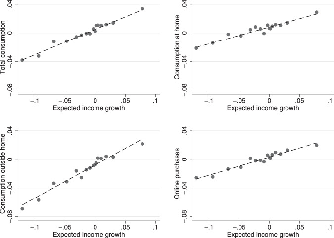 Consumption and income expectations during Covid-19.