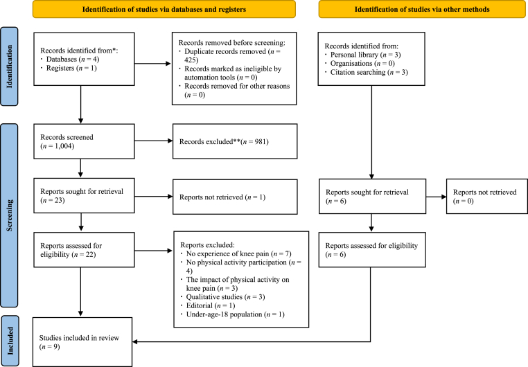 The relationship between experience of knee pain and physical activity participation: A scoping review of quantitative studies