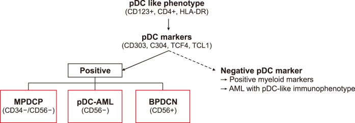 Plasmacytoid dendritic cell neoplasms.