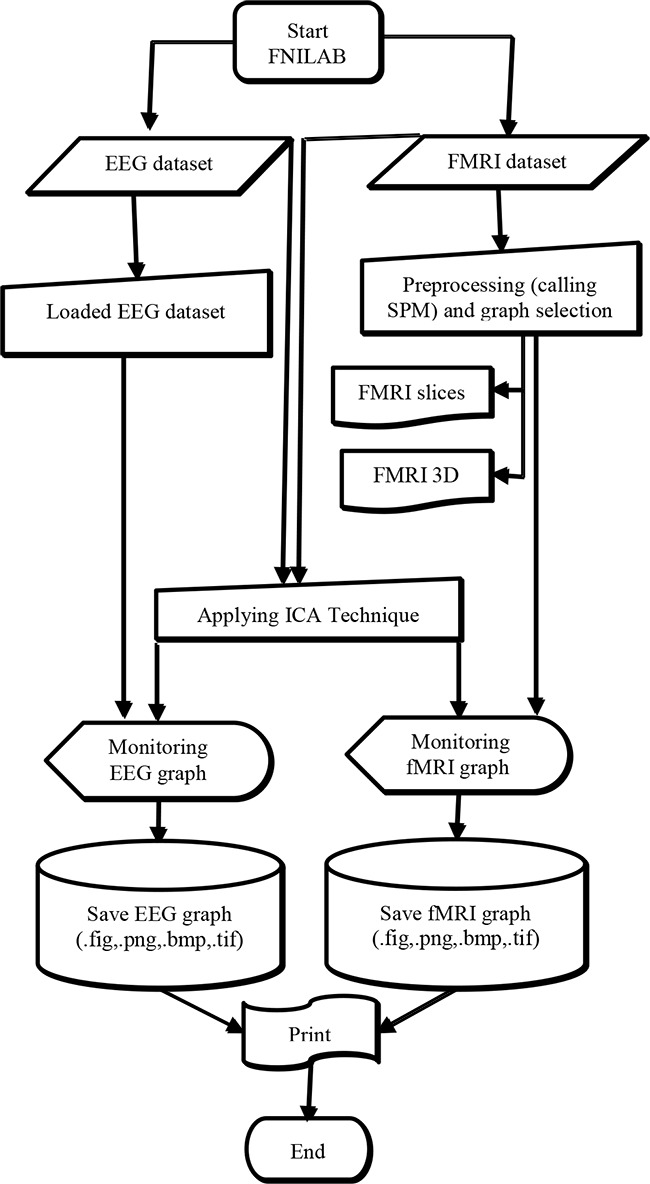 Independent Component Analysis with Functional Neuroscience Data Analysis.