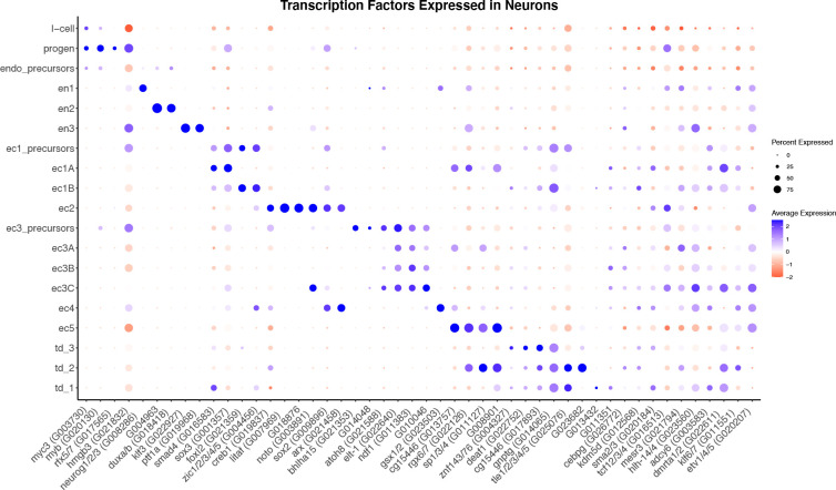 A Molecular, Spatial, and Regulatory Atlas of the <i>Hydra vulgaris</i> Nervous System.