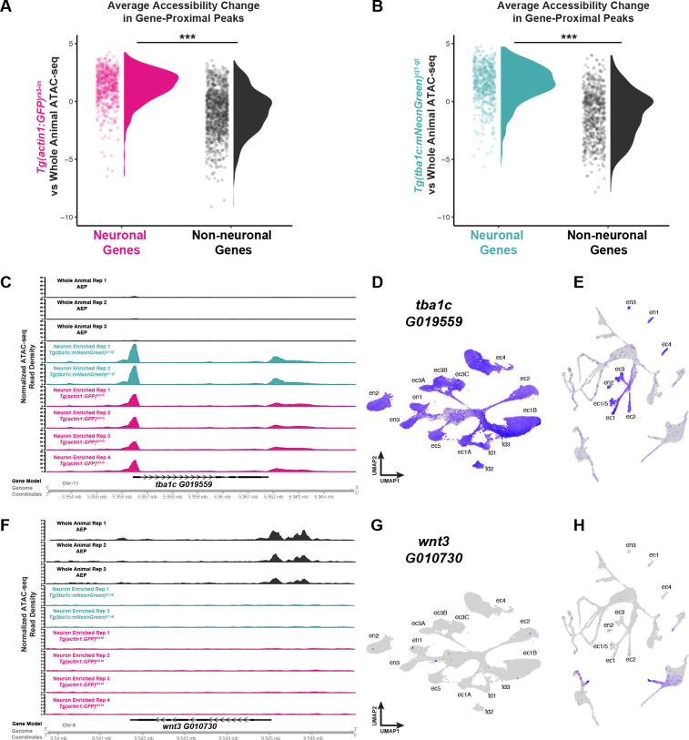 A Molecular, Spatial, and Regulatory Atlas of the <i>Hydra vulgaris</i> Nervous System.