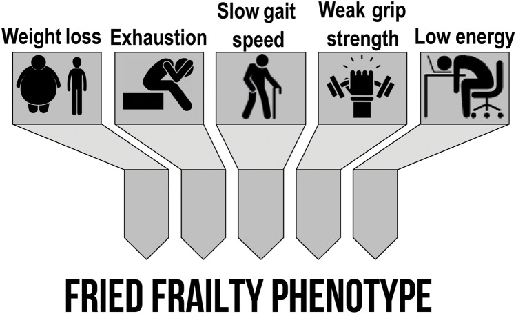 Inflammaging and Frailty in Immune-Mediated Rheumatic Diseases: How to Address and Score the Issue.