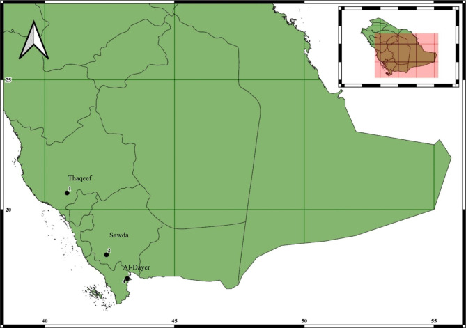 The phylogenetic relationship among two species of genus Nebo (Scorpiones: Diplocentridae) from Saudi Arabia and Middle East.