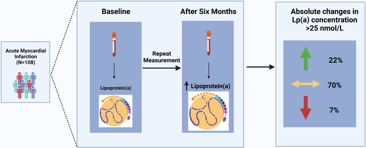 Lipoprotein(a) concentrations in acute myocardial infarction patients are not indicative of levels at six month follow-up.