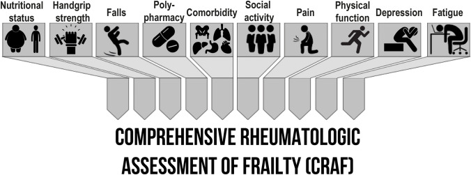 Inflammaging and Frailty in Immune-Mediated Rheumatic Diseases: How to Address and Score the Issue.