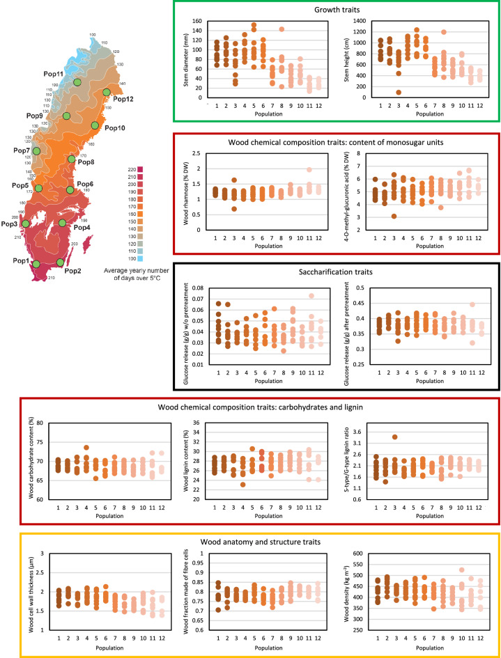 Genetic markers and tree properties predicting wood biorefining potential in aspen (Populus tremula) bioenergy feedstock.