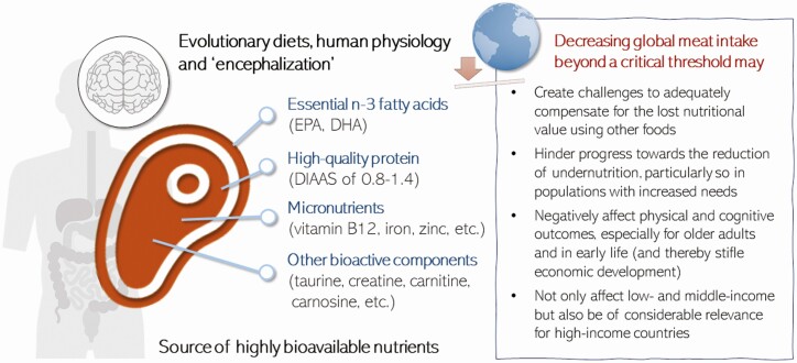 The role of meat in the human diet: evolutionary aspects and nutritional value.