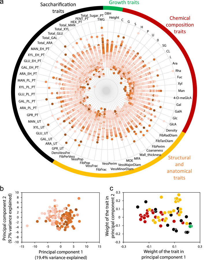 Genetic markers and tree properties predicting wood biorefining potential in aspen (Populus tremula) bioenergy feedstock.