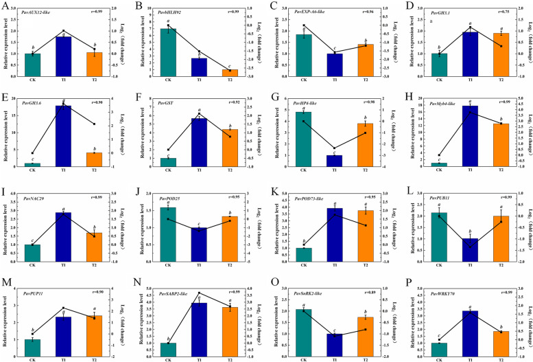 Oxygenation alleviates waterlogging-caused damages to cherry rootstocks.