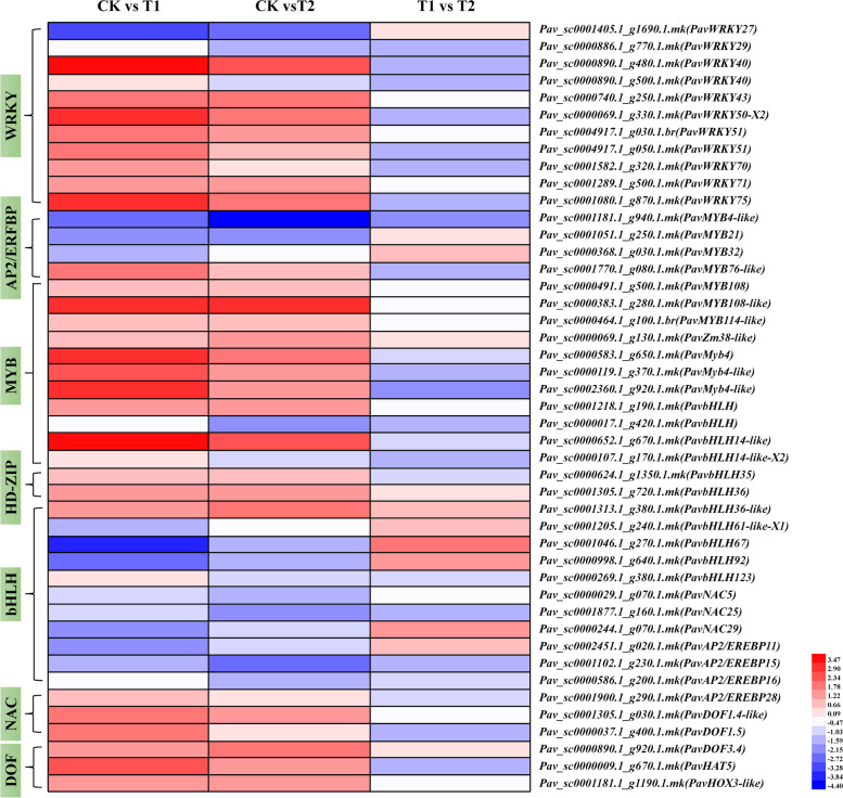 Oxygenation alleviates waterlogging-caused damages to cherry rootstocks.