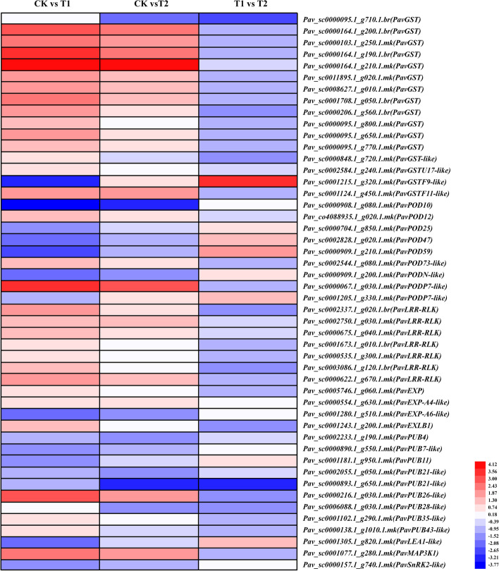 Oxygenation alleviates waterlogging-caused damages to cherry rootstocks.