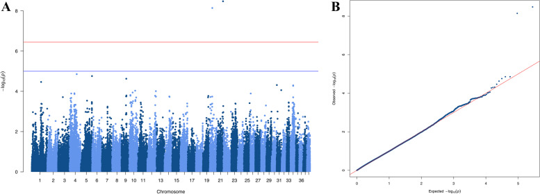 Cataracts in Havanese: genome wide association study reveals two loci associated with posterior polar cataract.