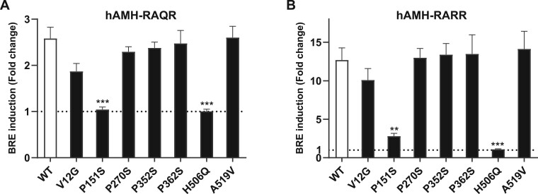 Functional analysis of rare anti-Müllerian hormone protein-altering variants identified in women with PCOS.