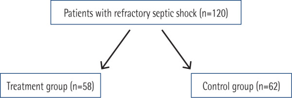 Vitamin C and thiamine for the treatment of refractory septic shock in surgical critically ill patients: a retrospective before-and-after study.