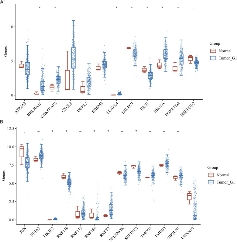 Endoplasmic Reticulum Stress Could Predict the Prognosis of Cervical Cancer and Regulate the Occurrence of Radiation Mucositis.