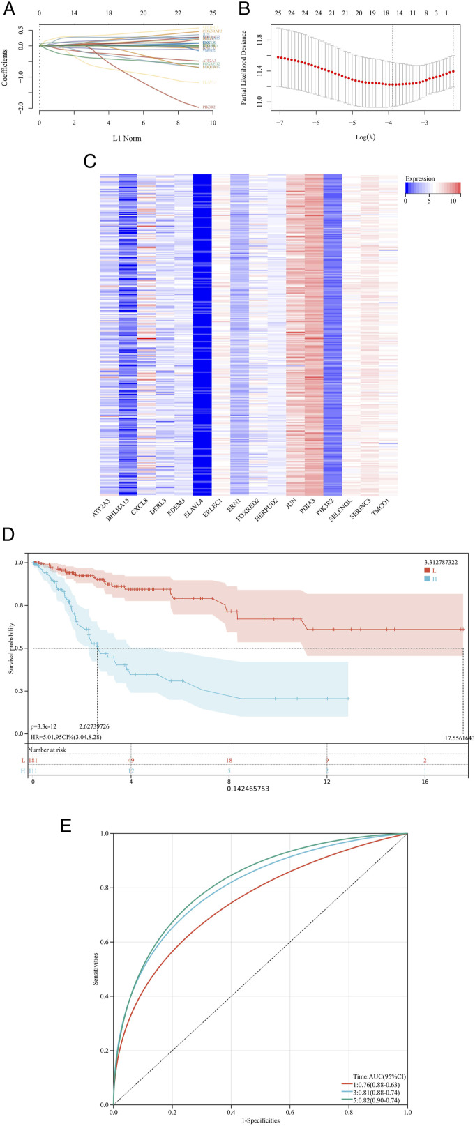 Endoplasmic Reticulum Stress Could Predict the Prognosis of Cervical Cancer and Regulate the Occurrence of Radiation Mucositis.