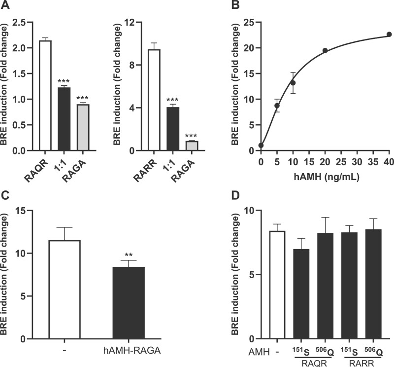 Functional analysis of rare anti-Müllerian hormone protein-altering variants identified in women with PCOS.