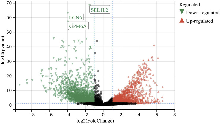 Endoplasmic Reticulum Stress Could Predict the Prognosis of Cervical Cancer and Regulate the Occurrence of Radiation Mucositis.