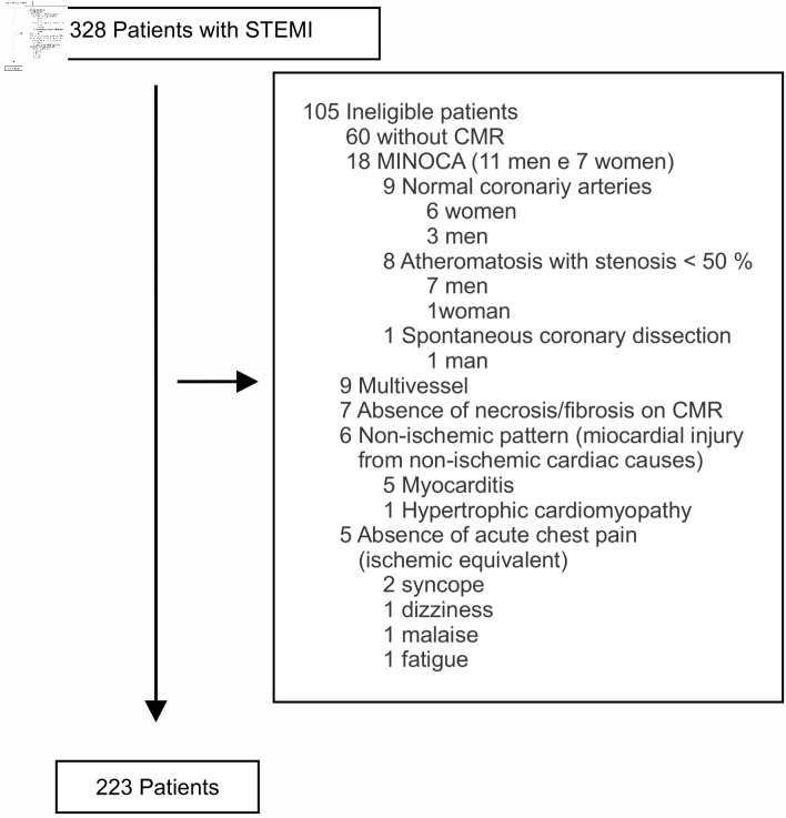 Chest Pain in Acute Myocardial Infarction and Its Association With the Culprit Artery and Fibrotic Segment Identified by Cardiac Magnetic Resonance.