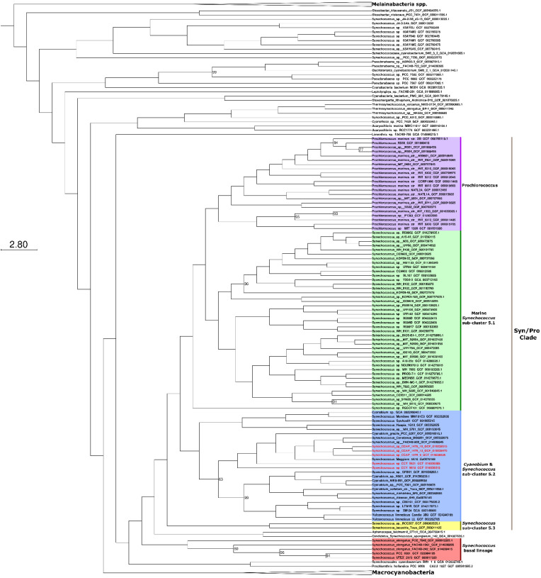 Draft Genome Sequences of <i>Synechococcus</i> sp. strains CCAP1479/9, CCAP1479/10, CCAP1479/13, CCY0621, and CCY9618: Five Freshwater <i>Syn/Pro</i> Clade Picocyanobacteria.