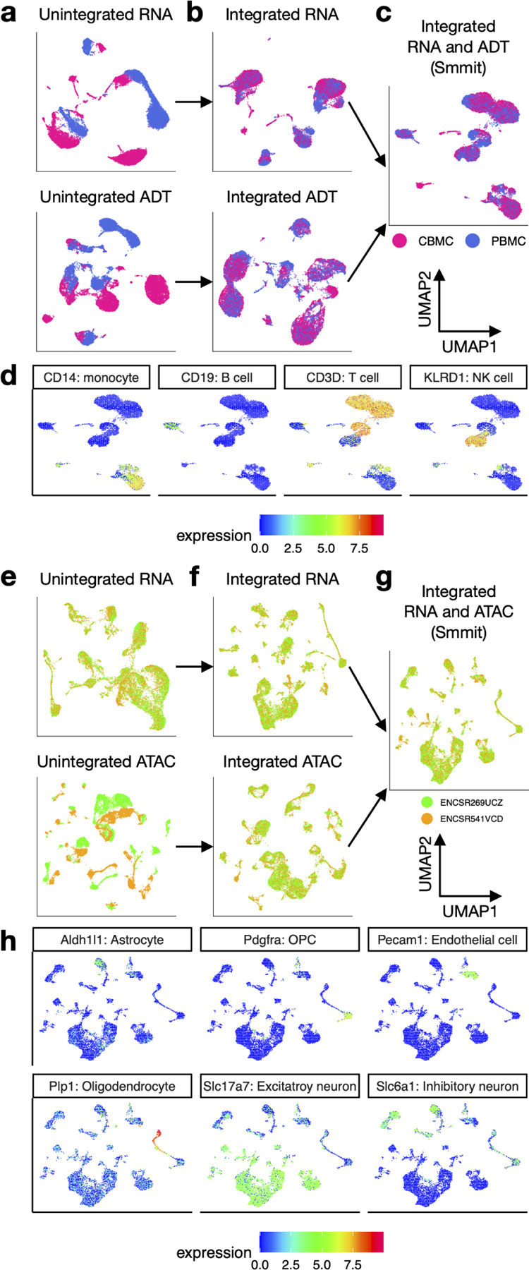 Integrating multiple single-cell multi-omics samples with Smmit.