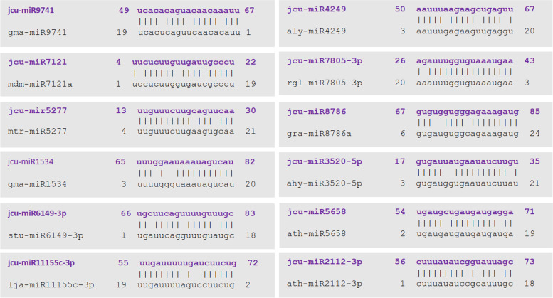 Identification of conserved miRNAs and their targets in Jatropha curcas: an in silico approach.