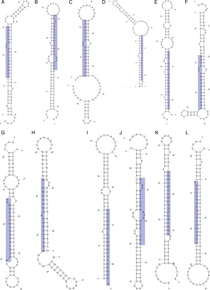 Identification of conserved miRNAs and their targets in Jatropha curcas: an in silico approach.