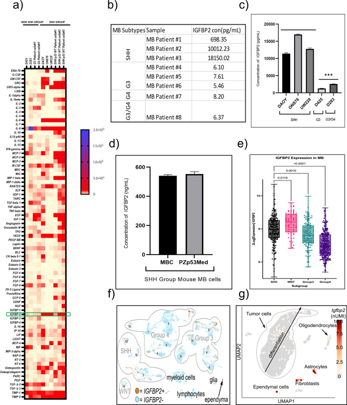 IGFBP2 promotes proliferation and cell migration through STAT3 signaling in Sonic hedgehog medulloblastoma.