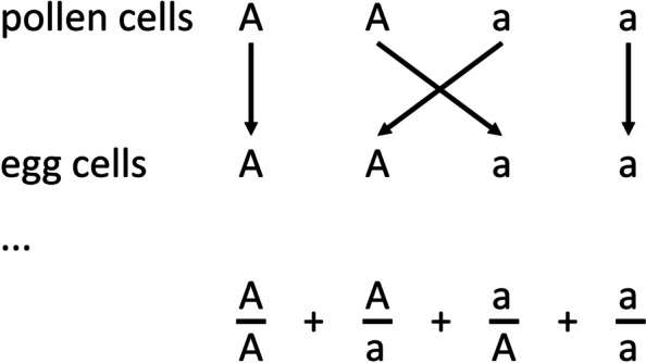 Mendel's terminology and notation reveal his understanding of genetics.