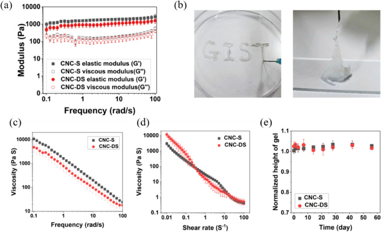 Cellular infiltration in an injectable sulfated cellulose nanocrystal hydrogel and efficient angiogenesis by VEGF loading.