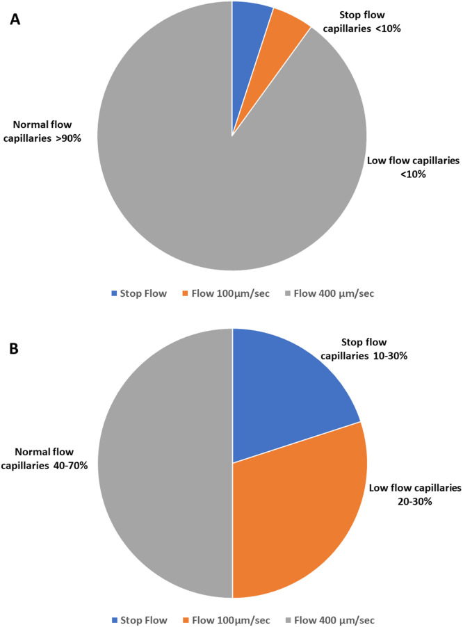 Novelties in the evaluation of microcirculation in septic shock