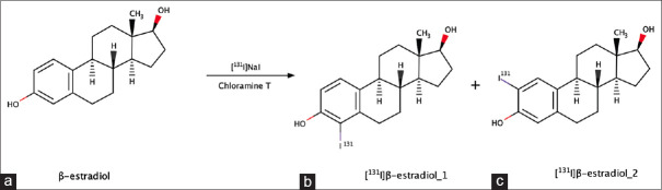 Method development, validation, and impurity measurement of β-estradiol from radiolabeled [<sup>131</sup>I]β-estradiol using radio-high-performance liquid chromatography for radioligand of saturation binding assay.