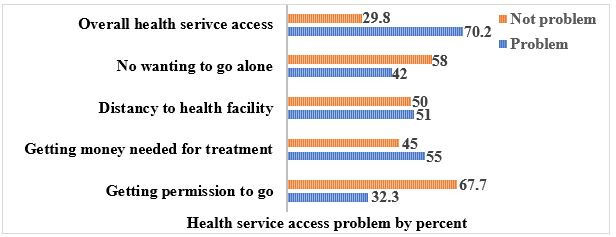 Women's health service access and associated factors in Ethiopia: application of geographical information system and multilevel analysis.