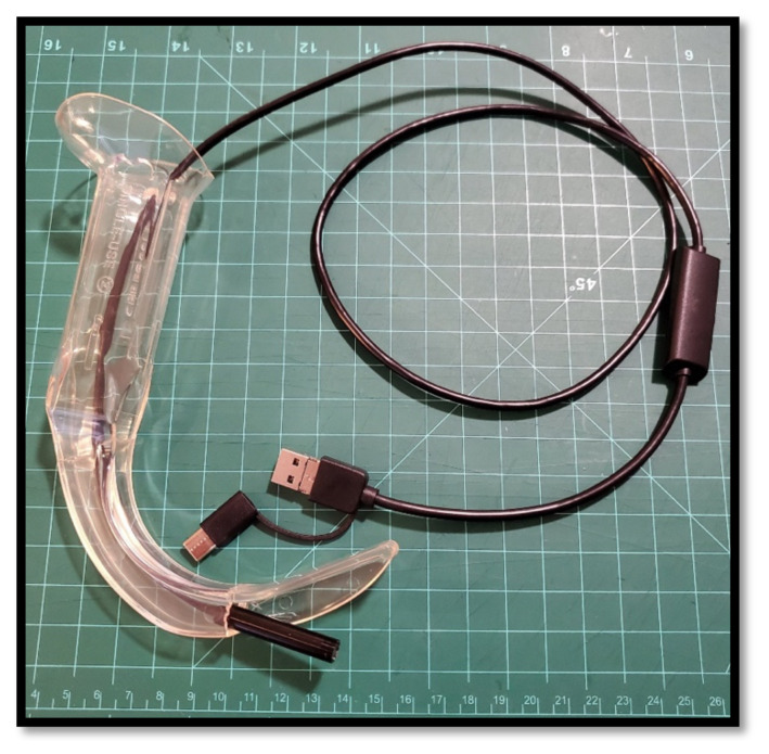 How to Build a Low-Cost Video-Assisted Laryngoscopy Suite for Airway Management Training.