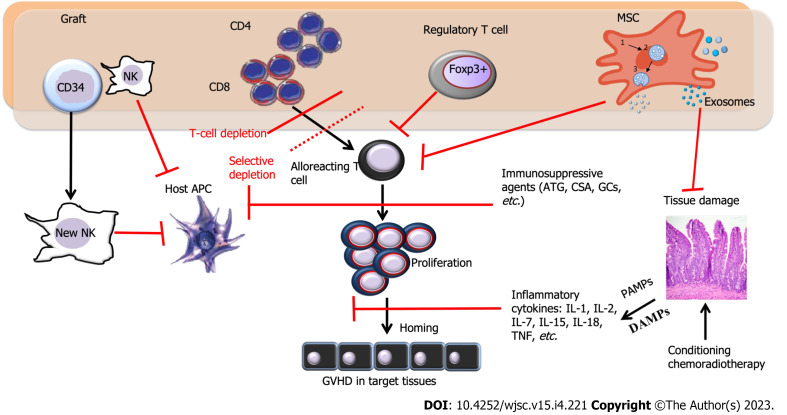 Harnessing and honing mesenchymal stem/stromal cells for the amelioration of graft-versus-host disease.