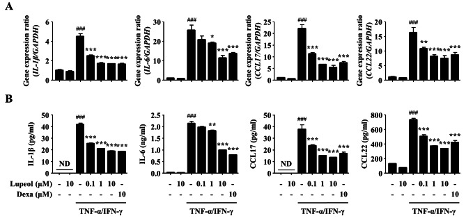 Lupeol alleviates atopic dermatitis-like skin inflammation in 2,4-dinitrochlorobenzene/Dermatophagoides farinae extract-induced mice.