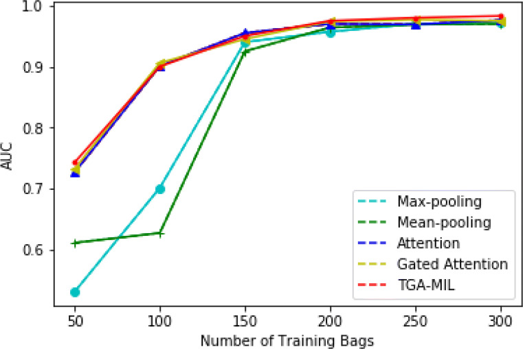 Triple-kernel gated attention-based multiple instance learning with contrastive learning for medical image analysis