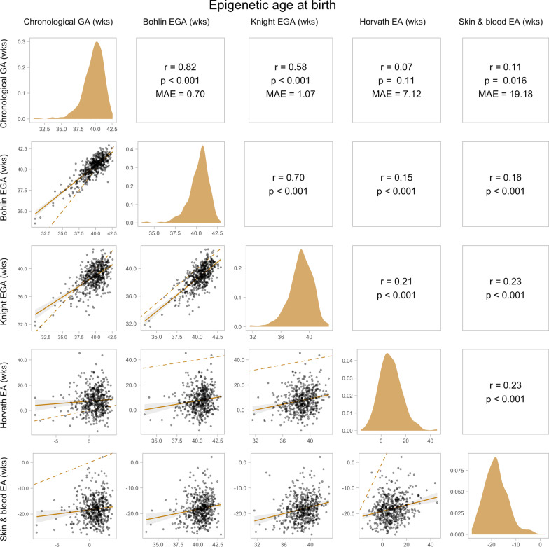 DNA methylation age at birth and childhood: performance of epigenetic clocks and characteristics associated with epigenetic age acceleration in the Project Viva cohort.