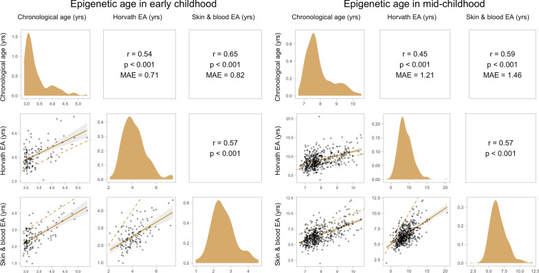 DNA methylation age at birth and childhood: performance of epigenetic clocks and characteristics associated with epigenetic age acceleration in the Project Viva cohort.