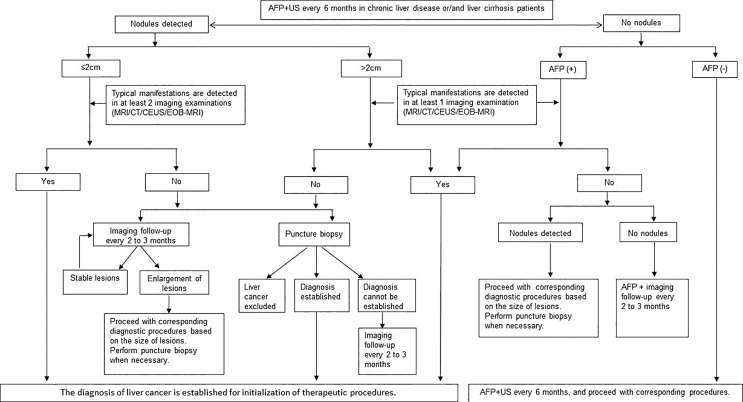 Guidelines for the Diagnosis and Treatment of Primary Liver Cancer (2022 Edition).